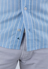 Blue Stripe