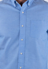 Dutch Blue