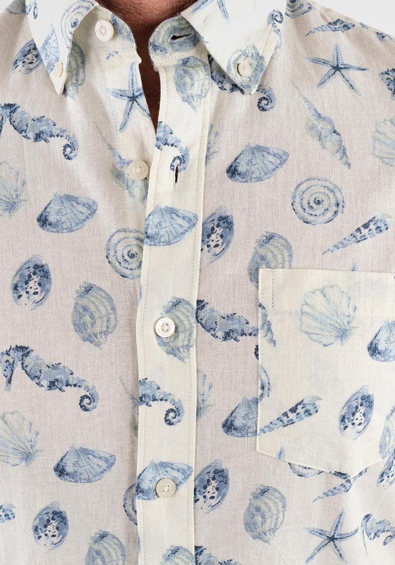 Coconut Milk Vintage Shells