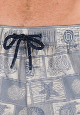 Infinity Shell Collage